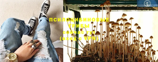 соль ск Балахна