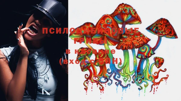 молекула духа Баксан