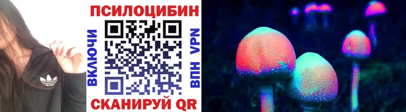 наркотики  blacksprut ССЫЛКА  Псилоцибиновые грибы MAGIC MUSHROOMS  Кудымкар 